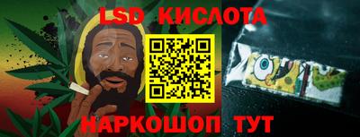 ПСИЛОЦИБИНОВЫЕ ГРИБЫ Гусев