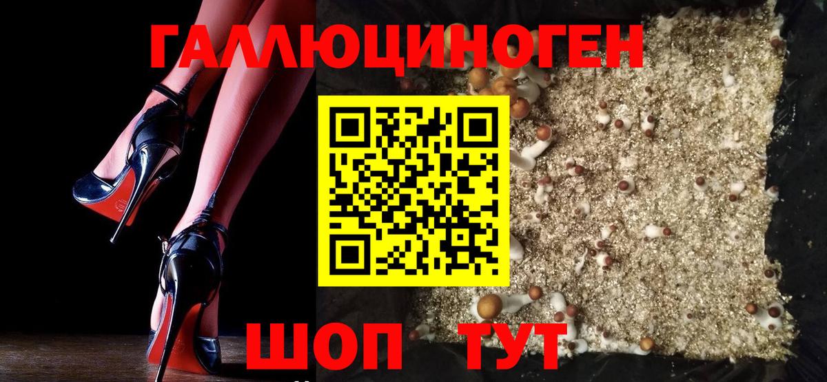 Псилоцибиновые грибы MAGIC MUSHROOMS Новозыбков