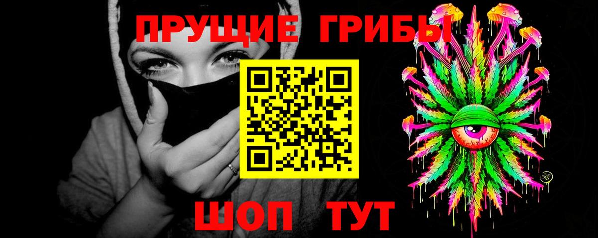 закладки  Вход с VPN  Новозыбков  Псилоцибиновые грибы Psilocybe 