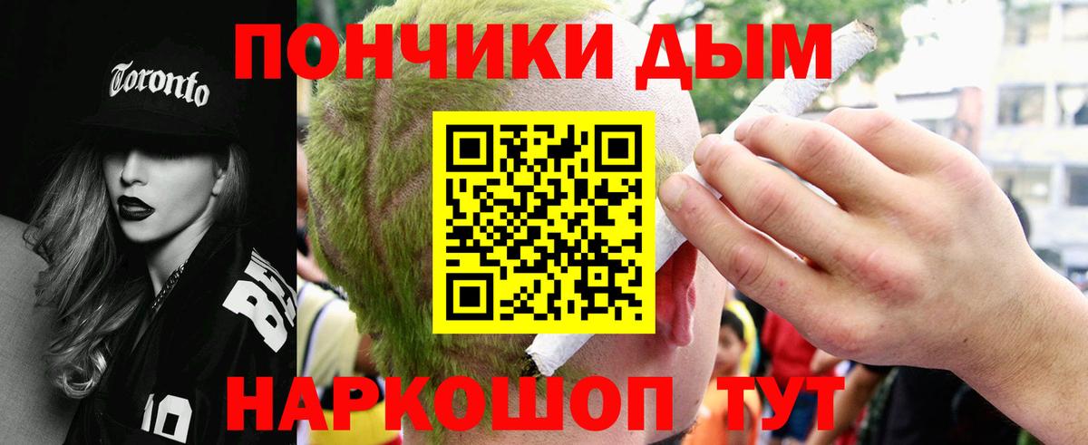 Каннабис сатива Новозыбков